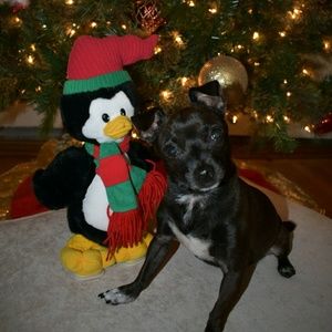 Meet your Posher, Vanessa